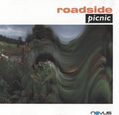 Roadside Picnic - Roadside Picnic