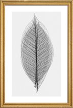 JUNIQE - Poster met houten lijst Skeleton of a Leaf -40x60 /Wit &