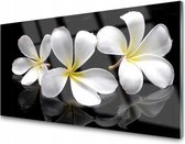 Glasschilderij flowers | 4 mm veiligheidsglas | 120 x 60 cm | Blind ophangsysteem | Glazen schilderijen