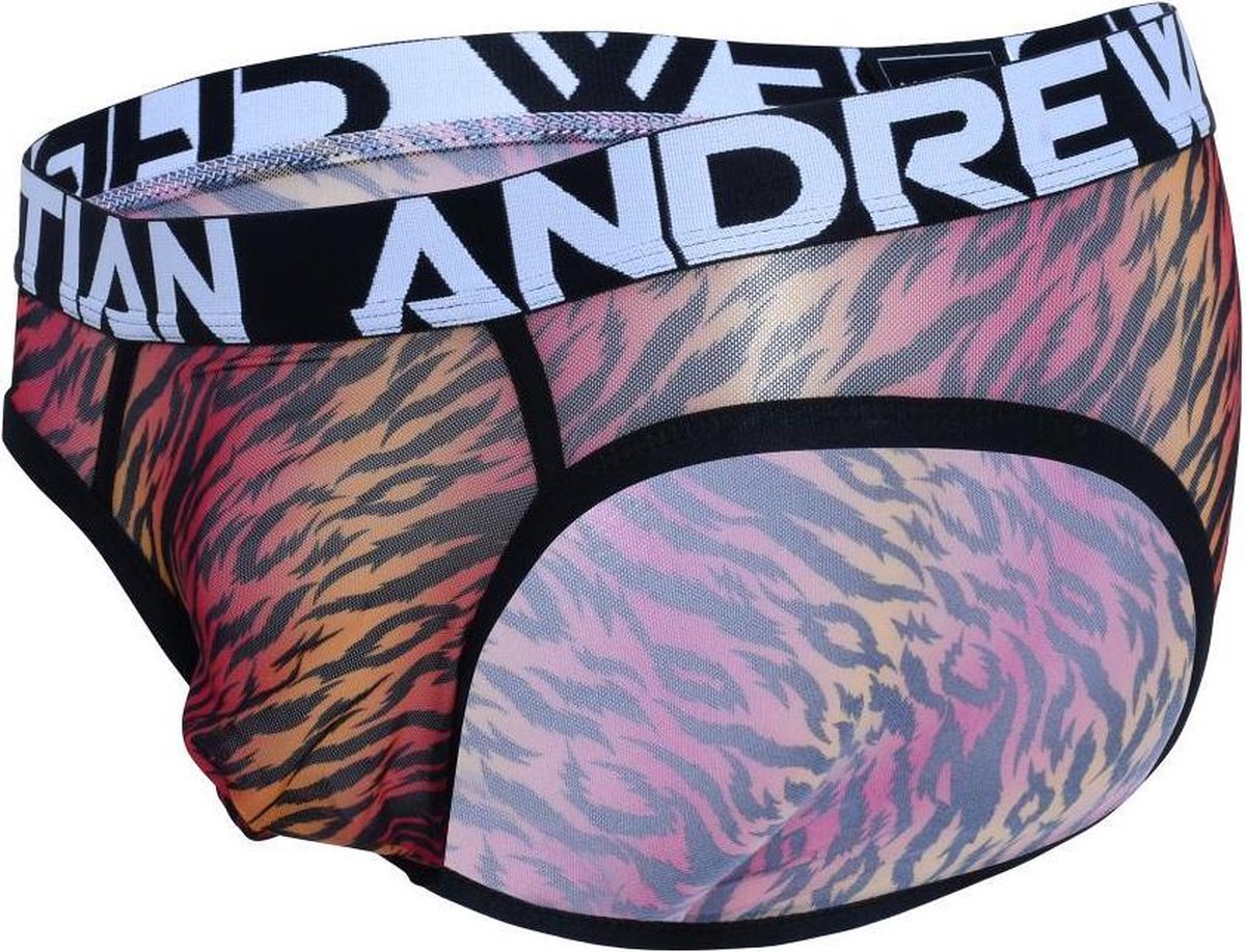 Andrew Christian - Sheer Tiger Brief - Taille L - Slips érotiques pour  hommes - Sexy... | bol.com