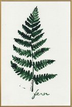 JUNIQE - Poster met kunststof lijst Fern -40x60 /Groen & Ivoor