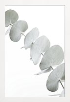 JUNIQE - Poster in houten lijst Eucalyptus White 3 -20x30 /Groen & Wit