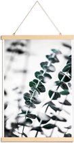 JUNIQE - Posterhanger Eucalyptus 1 -30x45 /Groen & Wit