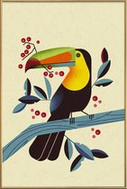 JUNIQE - Poster met kunststof lijst Toucan II -13x18 /Kleurrijk