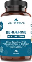 Berberine - LIPOSOMAL - NO ADDITIVES - 60 capsules