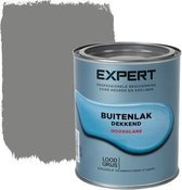 Expert Buitenlak Hoogglans - Aflak - Verf - Made by Sikkens - Loodgrijs - 0,75 L