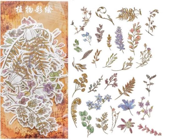Washi Stickers Thema Bladeren – 60 Stickers – Blad En Bladeren En Planten Sticker – Bullet Journal – Stickers Voor Volwassenen – Scrapbooking – Agenda Stickers – Decoratie Sticker Washi Tape