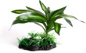 RepTech Terrarium Plant Single Bromeliad