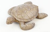 Deco Schildpad polyresin 16,5x13x4cm