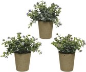 Kunstplant in pot Ø21--H15cm