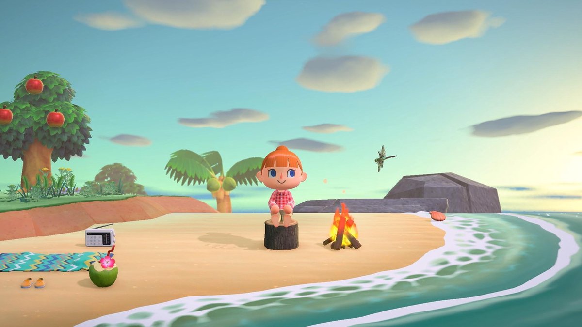 Nintendo Animal Crossing: New Horizons - Switch thumbnail 3