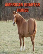 American Quarter Horse