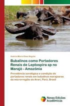 Bubalinos como Portadores Renais de Leptospira sp no Marajo - Amazonia