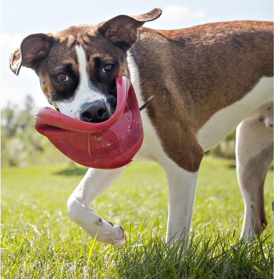 Kong Flyer Frisbee - Jouet pour chien - Rouge - Ø25 cm