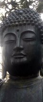 Buddha Groot deurposter 95x215cm