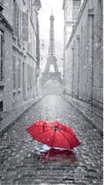 1x Zelfklevende Poster Umbrella | 70x125cm | Parijs
