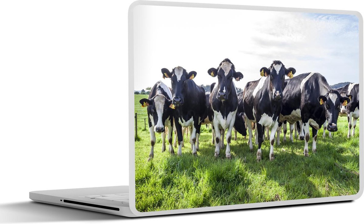 Laptop sticker - 12.3 inch - Koeien - Licht - Lente - 30x22cm - Laptopstickers - Laptop skin - Cover