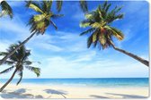 Muismat Tropische stranden - Palmbomen zorgen voor schaduw bij een tropisch strand muismat rubber - 27x18 cm - Muismat met foto