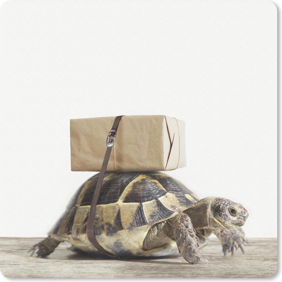 Muismat voor kinderen - Schildpad - Hout - Wit -Jongens - Meisjes - Kinderen - Muismat meisjes - Muismat jongens