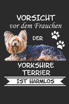 Vorsicht vor dem Frauchen der Yorkshire Terrier ist Harmlos