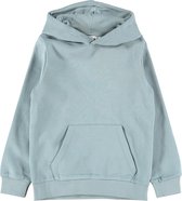 NAME IT NKMLENO LS SWEAT WH BRU Jongens Trui - Maat 116