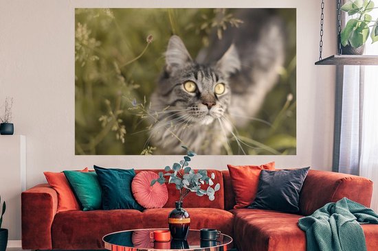 Un chat Maine Coon entre les hautes herbes Poster 180x120 cm - Tirage photo sur Poster (décoration murale salon / chambre) / Poster Animaux domestiques XXL / Groot format!