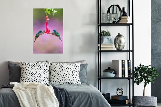Une belle photo symétrique d'un ensemble de colibris buvant à une fleur au Costa Rica Poster 60x90 cm - Tirage photo sur Poster (décoration murale salon / chambre)