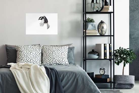 Poster Vogel - Ressorts - Zwart - Wit - 30x20 cm