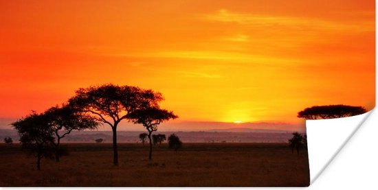 Poster Zonsopgang met de silhouetten van de bomen in het Nationaal park Serengeti - 120x60 cm