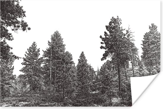 Poster Een historische illustratie van een bos - 180x120 cm XXL