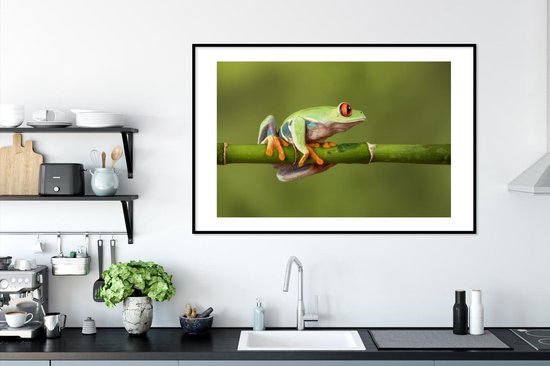 Poster in lijst - Fotolijst 120x80 cm - Posters - Roodoogmakikikker op bamboe - Posterlijst zwart - Decoratie - Wanddecoratie woonkamer - Muurdecoratie slaapkamer