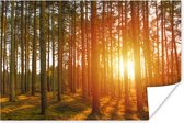 Lever de soleil en forêt d'automne papier affiche 120x80 cm - Tirage photo sur Poster (décoration murale salon / chambre)