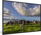 Troupeau de vaches au pâturage 30x20 cm - petit