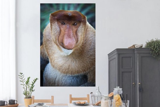 Un gros plan d'un poster singe proboscis 120x180 cm - Tirage photo sur Poster (décoration murale salon / chambre) / Poster Animaux sauvages XXL / Groot format!