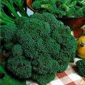 Broccoli zaden - Atlantic