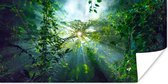 Poster Zonlicht schijnt op een grot in het regenwoud van Maleisië - 40x20 cm