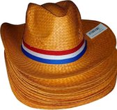 5 stuks oranje country hoeden met rood-wit-blauwe vlag - Nederland - Voetbal - Koningsdag