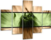 Glasschilderij Bloem | Groen, Bruin, Zwart | 100x70cm 5Luik | Foto print op Glas |  F004468