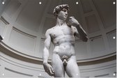 David, Michelangelo's meesterwerk in Florence - Foto op Tuinposter - 90 x 60 cm