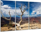 GroepArt - Schilderij -  Natuur - Blauw, Wit - 120x80cm 3Luik - 6000+ Schilderijen 0p Canvas Art Collectie