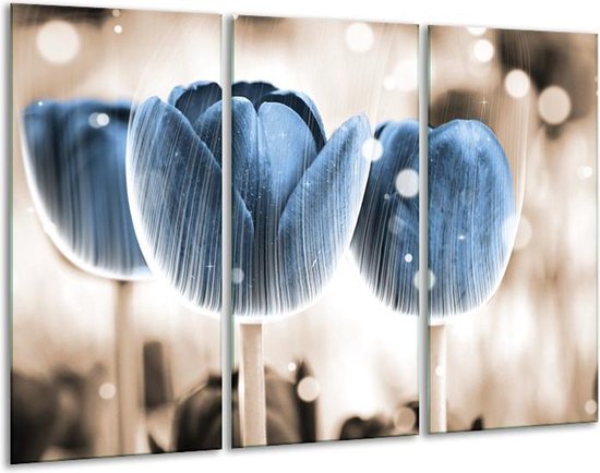GroepArt - Schilderij -  Tulp - Blauw, Wit - 120x80cm 3Luik - 6000+ Schilderijen 0p Canvas Art Collectie
