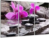 GroepArt - Schilderij -  Orchidee - Zwart, Roze, Grijs - 120x80cm 3Luik - 6000+ Schilderijen 0p Canvas Art Collectie