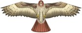 XKites Birds of Prey Hawk | doublure | Oiseau
