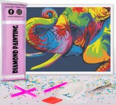 Compleet Full Diamond Painting voor volwassenen en kinderen - Gekleurde olifant abstract - 30x40cm volledig pakket met accessoires - Cadeau tip