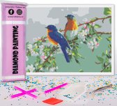 Compleet Full Diamond Painting voor volwassenen en kinderen - Blauwe vogels - 30x40cm volledig pakket met accessoires - Cadeau tip