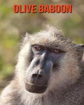 Olive Baboon
