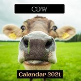Cow Calendar 2021