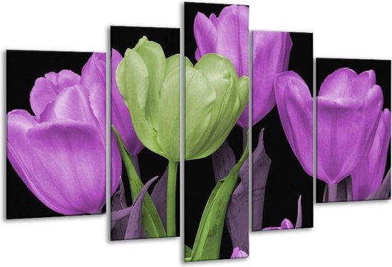 Glasschilderij Tulpen - Paars, Groen, Zwart - 170x100cm 5Luik - Foto Op Glas - Geen Acrylglas Schilderij - 6000+ Glasschilderijen Collectie - Wanddecoratie