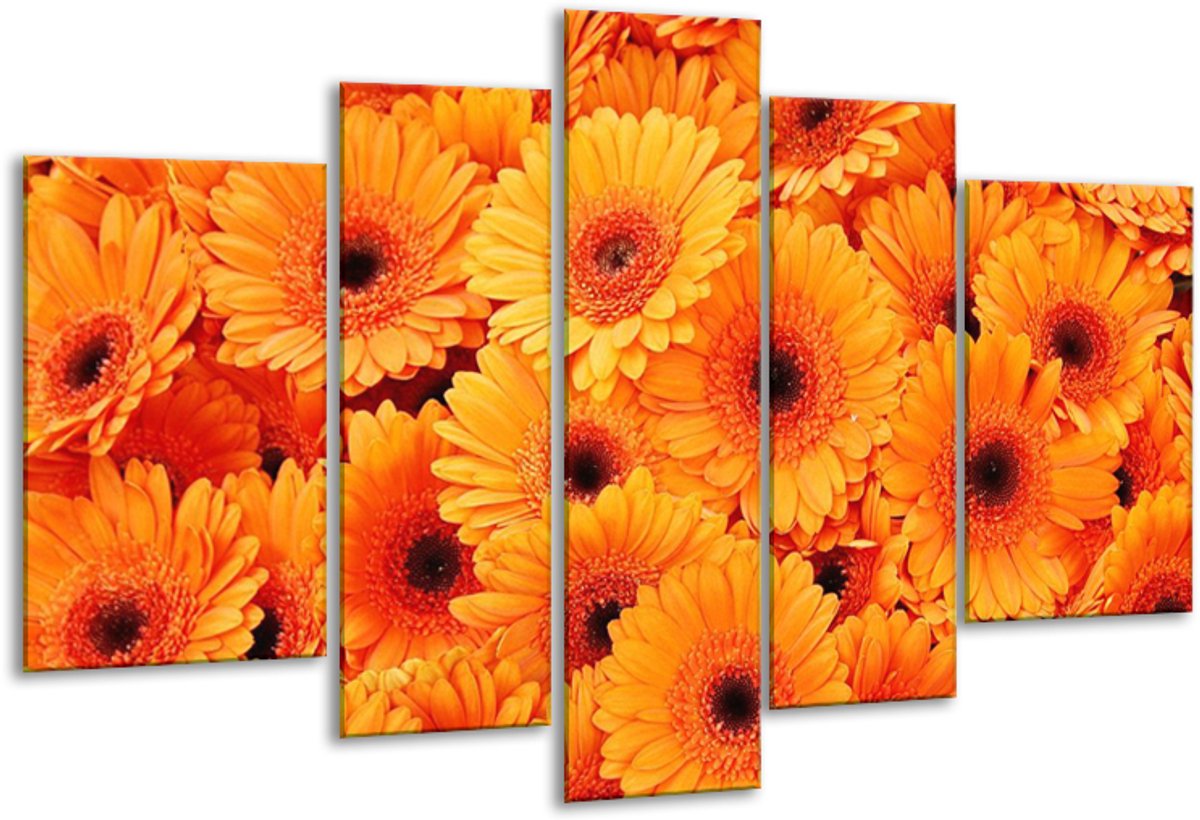 Glasschilderij Bloemen - Oranje, Zwart - 170x100cm 5Luik - Foto Op Glas - Geen Acrylglas S
