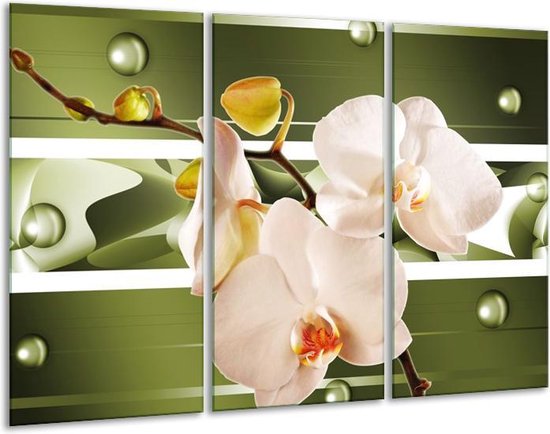 Glasschilderij Orchidee - Groen, Roze, Wit - 120x80cm 3Luik - Foto Op Glas - Geen Acrylglas Schilderij - GroepArt 6000+ Glas Art Collectie - Maatwerk Mogelijk